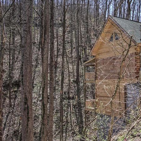 The Phoenix Cabin With Hot Tub In Gatlinburg! Zewnętrze zdjęcie